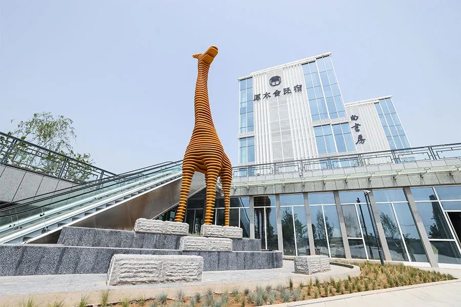 211653320210.jpg 图片