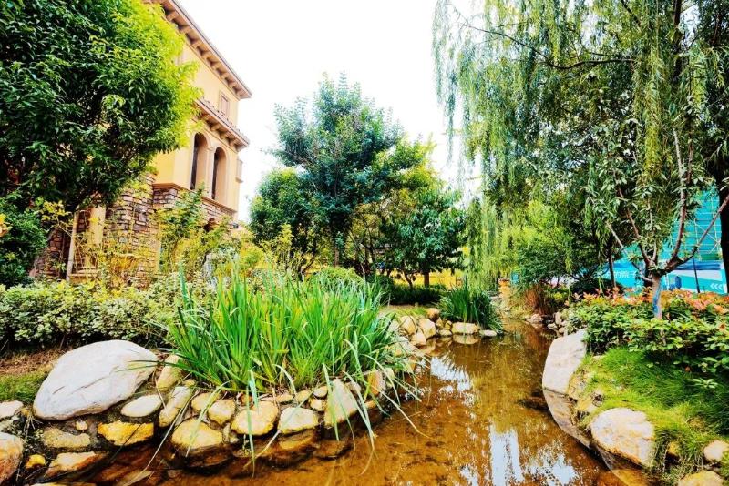 5_$1698214928746022023.jpg 5.jpg